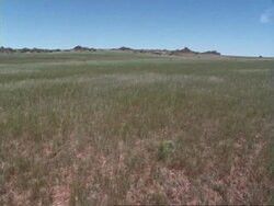 Locked off shot of barren grassy landscape, Namaqualand, South Africa Stock Footage