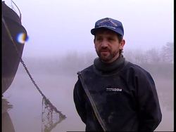 UK: CHINESE MITTEN CRABS CAUSING CHAOS ALONG RIVER THAMES News Clip