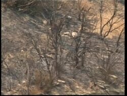 Wildfire threatens to jump highway and burn into national forest News Clip
