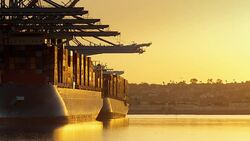 Sea Birds Flying Past Fully Loaded Container Crane at Sunset Stock Footage