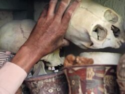 CU Shot of Skulls of paracas / South Of Peru, Nazca, Peru Stock Footage