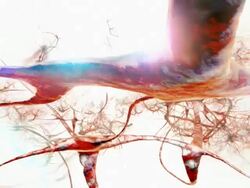 Brain Pyramid Neuron Dolly warm Stock Footage