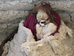 MS Shot of Chauchilla cemetery with mummies and skulls in grave / South Of Peru, Nazca, Peru Stock Footage