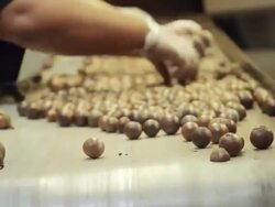 CU Shot of macadamia nuts moving along conveyor belt / kauai, hawaii, united states Stock Footage
