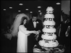 B/W 1967 Elvis + Priscilla Presley starting to cut wedding cake / Las Vegas / newsreel Stock Footage