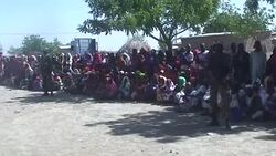 CLEAN : Fight against Boko Haram intensifies in northern Cameroon News Clip