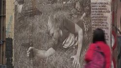 CLEAN : International photojournalists exhibit work in streets of Bogota News Clip