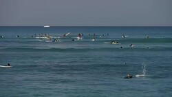 Surfers off Waikiki Beach, Hawaii News Clip