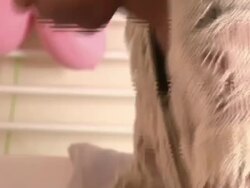 Parents Find Out Whether Their Child Got Into First Choice Of School News Clip