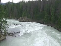 CU Shot of river flowing through trees at Natural Bridge / Yoho Nationalpark, British Columbia, Canada Stock Footage