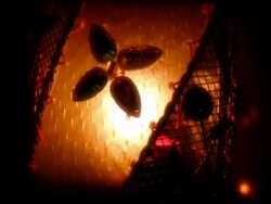 Ornamental Lamp Stock Footage