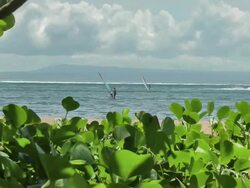 Tropical picture postcard: mangroves, ocean, water sports Stock Footage