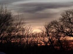 Colorful Winter Sunset Stock Footage