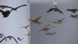 Israel set to open new $40 million Museum of Natural History Instructional Video