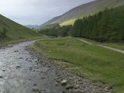 Rapids On River Tilt Stock Footage