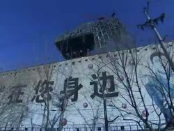 Low Angle_hand-held tracking-left - Bare trees border a graffiti-covered wall.   Stock Footage