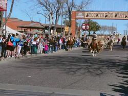 WS Shot of famous Stockyard on Main Street with cowboys heading small herd of longhorn cattle down street with tourists watching for lifestyle / Ft Worth, Texas, United States Stock Footage