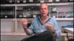 Tarantula breeding to curb illegal trade News Clip