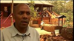 Saving one of the world's most endangered species of giraffe News Clip