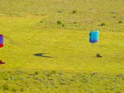 WS AERIAL TS View of Para glider landing / Melbourne, Victoria, Australia Stock Footage