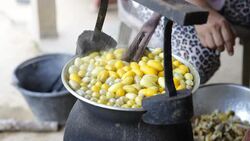 Boiling silkworm cocoon Stock Footage
