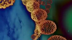 Abstract Digital DNA. Stock Footage