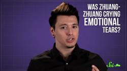 Do Animals Cry? Instructional Video