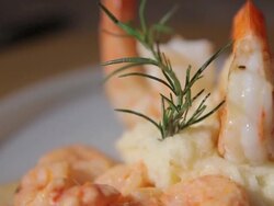shrimp plate Stock Footage