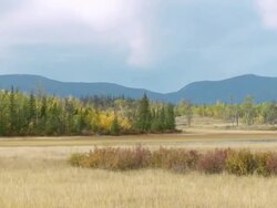 WS ZO View of Prairie and forest with mountains in background / Clinton, British Columbia, Canada Stock Footage