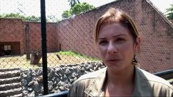 Animals cool off with ice-cold popsicles as temperatures soar Instructional Video