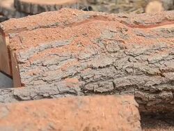 Electric Saw. Stock Footage