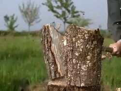 CU SLO MO Man hitting on wood by axe for splitting wood / Vieux Pont, Normandy, France Stock Footage