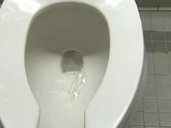 A toilet in a public bathroom flushes automatically. Stock Footage