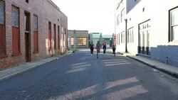 MS ZI ZO Group of women running together on road in city at sunrise Stock Footage