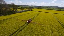 Rapeseed Spraying Stock Footage