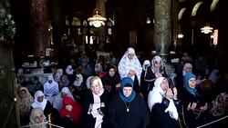 CLEAN : Jerusalem: Friday prayers at al Aqsa mosque compound News Clip
