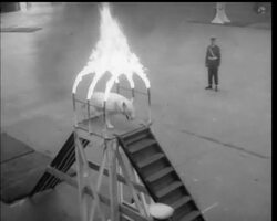 TRAINING FOR THE TOURNAMENT News Clip