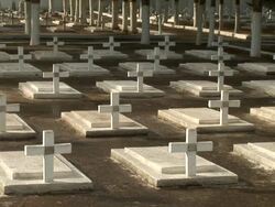 Cemetery Close Up Stock Footage