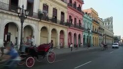 Fidel Castro writes about death of his "best friend", FARC officials react News Clip