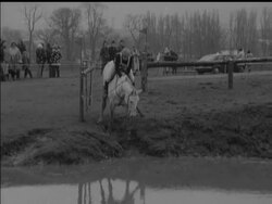 SHOW JUMPERS TRIALS News Clip