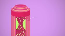 Blood Vessels, part 2: Crash Course A&P Instructional Video