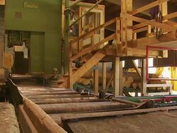 Bandsaw Cutting the Log Into Lumber in a Sawmill Stock Footage