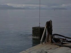 Workers load crate full of shellfish to boat Stock Footage