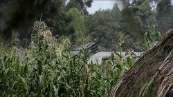 VOICED : Ejercito congoleno vence la rebelion M23 News Clip