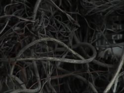 Museum in former secret police station displays donated art collection News Clip