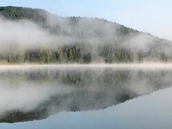 lake reflection with fog Stock Footage