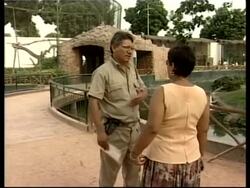 Zoo operates bachelor pad for rare,  endangered animals News Clip