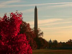 Long distance static shot of the Washington Monument in Washington DC Stock Footage