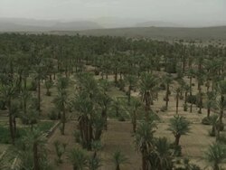 Sectioned areas of cultivated land and palm trees, overlooked by a castle like building and Moroccan mountains. Stock Footage