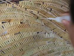 Weaver working Stock Footage